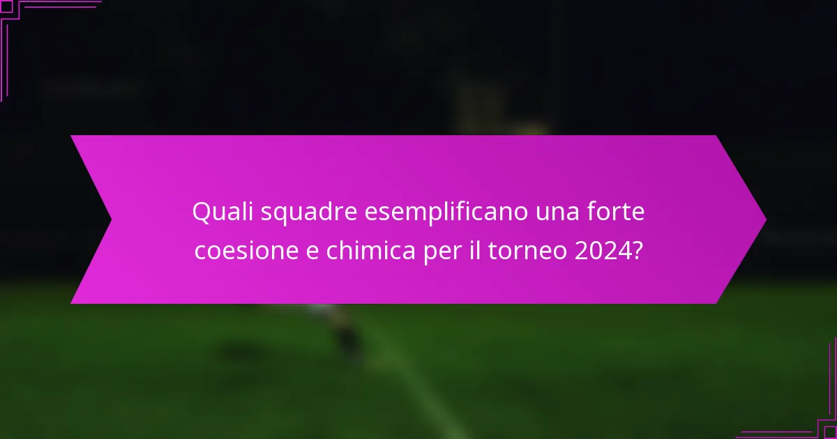 Quali squadre esemplificano una forte coesione e chimica per il torneo 2024?